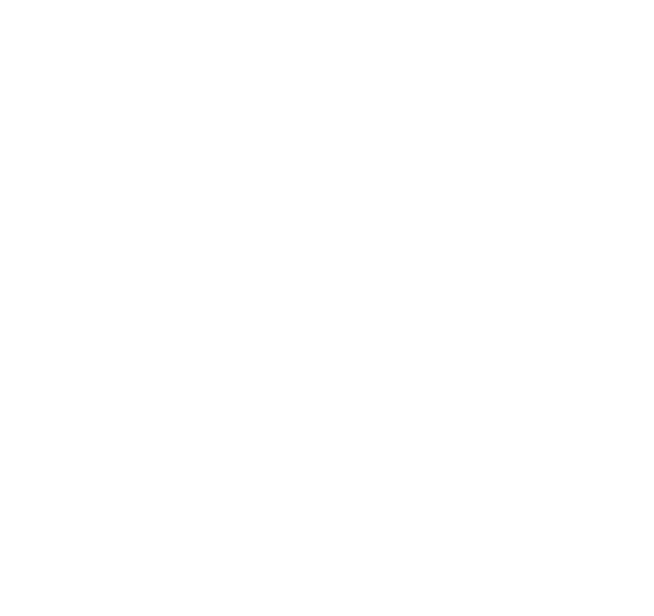 Achsvermessung bei Premio